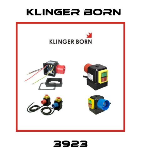 3923 Klinger Born