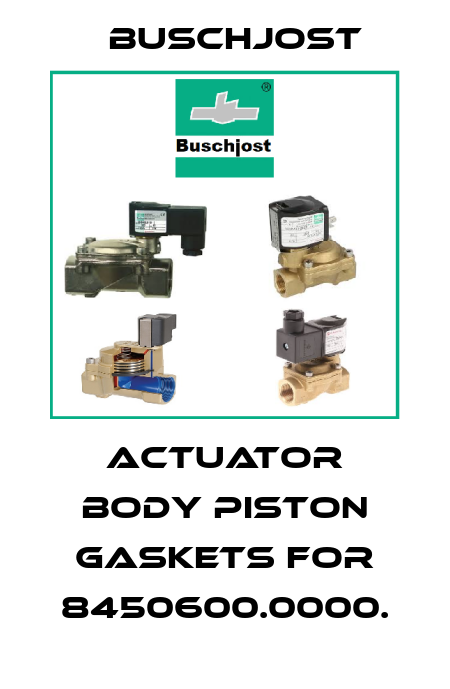 actuator body piston gaskets for 8450600.0000. Buschjost