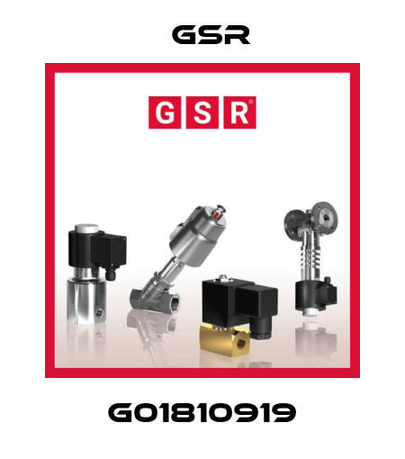 G01810919 GSR