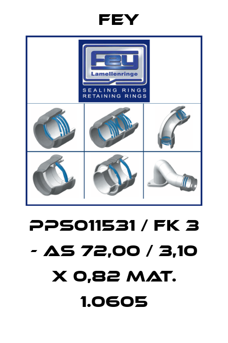 PPS011531 / FK 3 - AS 72,00 / 3,10 x 0,82 Mat. 1.0605 Fey