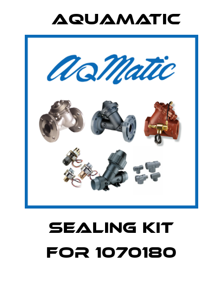 sealing kit for 1070180 AquaMatic