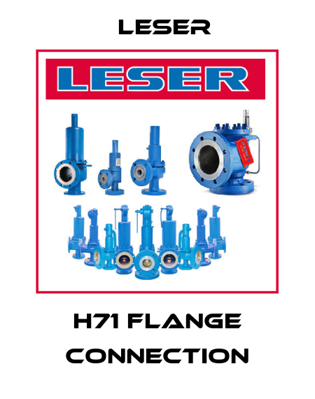 H71 Flange connection Leser