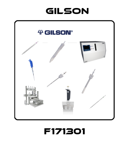 F171301 Gilson
