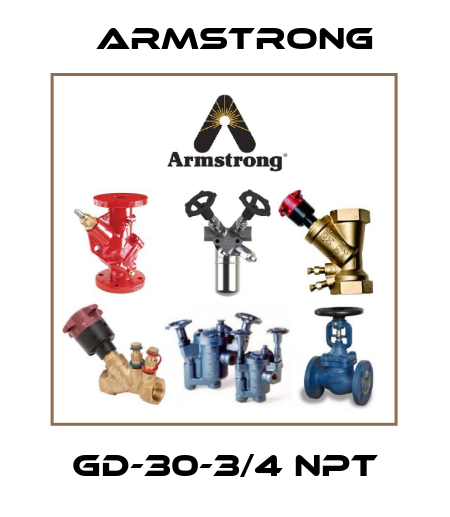 GD-30-3/4 NPT Armstrong