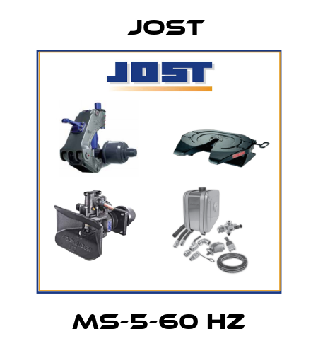 MS-5-60 Hz Jost