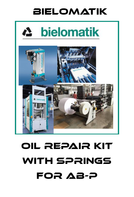 oil repair kit with springs for AB-P Bielomatik