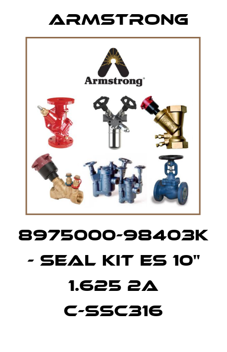 8975000-98403K - Seal kit ES 10" 1.625 2A c-Ssc316 Armstrong