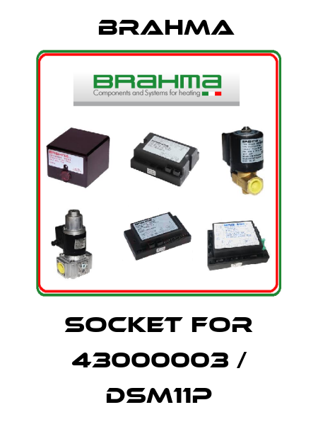 socket for 43000003 / DSM11P Brahma