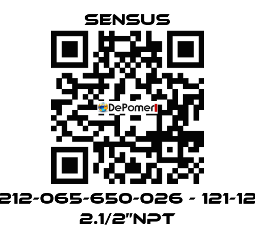 212-065-650-026 - 121-12 2.1/2”NPT Sensus