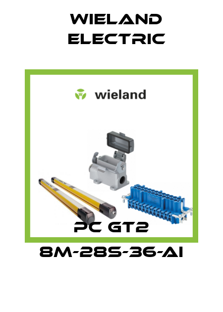 PC GT2 8M-28S-36-AI Wieland Electric