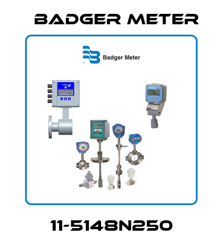 11-5148N250 Badger Meter
