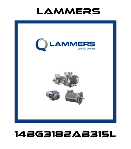 14BG3182AB315L Lammers