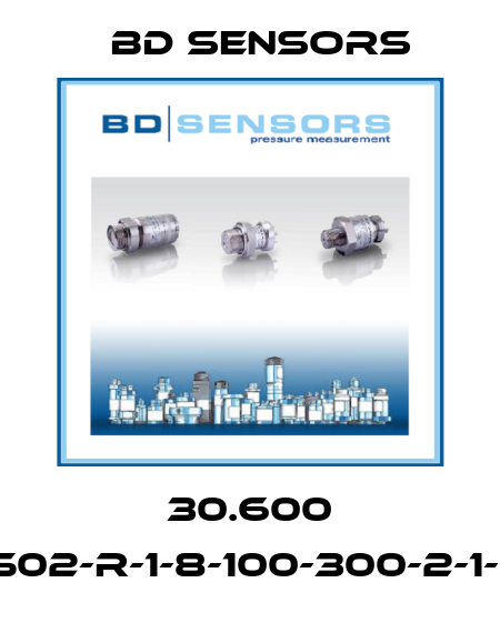 30.600 G-2502-R-1-8-100-300-2-1-000 Bd Sensors