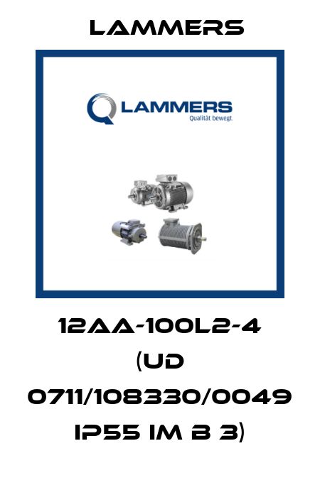 12aa-100L2-4 (UD 0711/108330/0049 IP55 IM B 3) Lammers