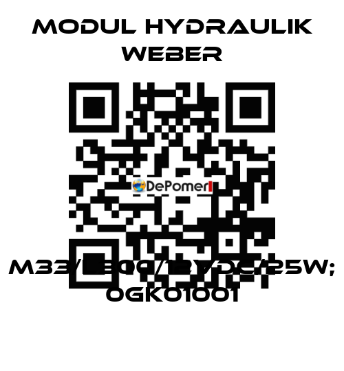 M33/L300/12VDC/25W; 0GK01001 MODUL HYDRAULIK WEBER