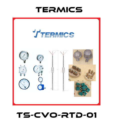 TS-CVO-RTD-01 Termics