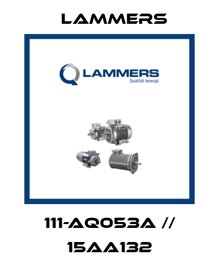 111-AQ053A // 15AA132 Lammers