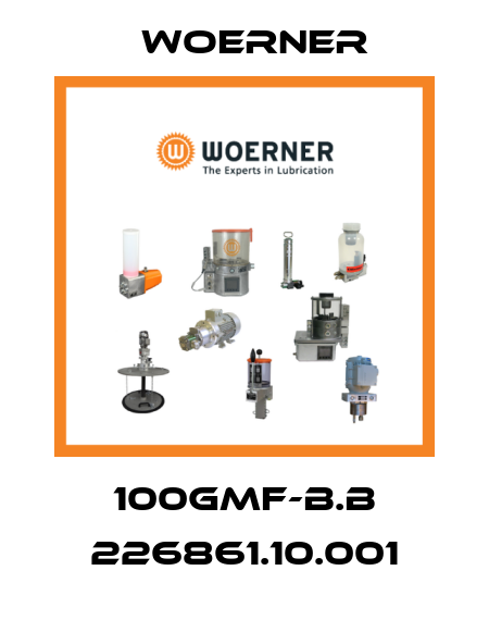 100GMF-B.B 226861.10.001 Woerner