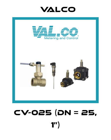 CV-025 (DN = 25, 1’’) Valco