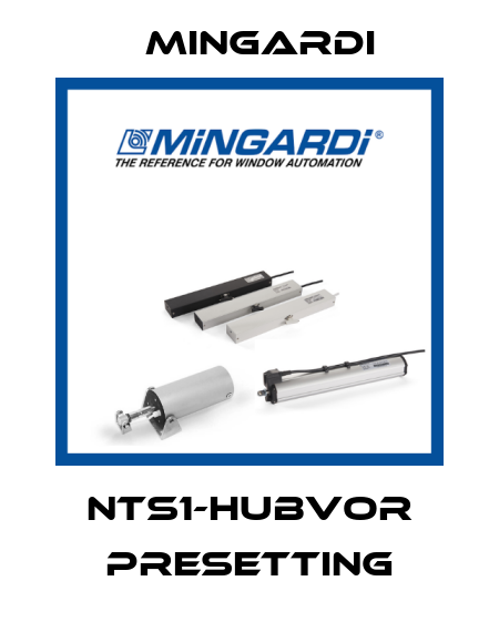 NTS1-Hubvor presetting Mingardi