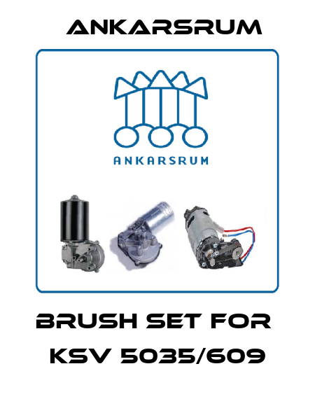 brush set for  KSV 5035/609 Ankarsrum