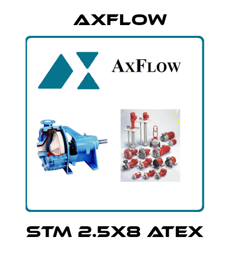 STM 2.5X8 ATEX Axflow