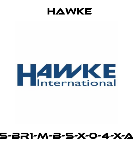 S-BR1-M-B-S-X-0-4-X-A Hawke