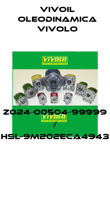 Z024-00504-99999 / HSL-9M202ECA4943  Vivoil Oleodinamica Vivolo