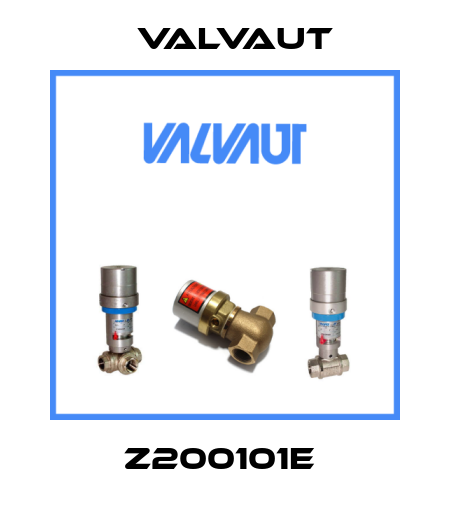 Z200101E  Valvaut
