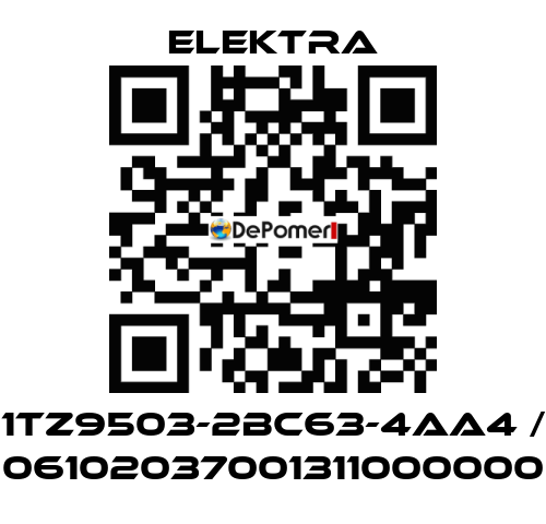 1TZ9503-2BC63-4AA4 / 06102037001311000000 ELEKTRA