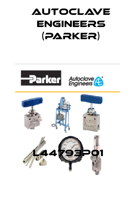 L44793P01 Autoclave Engineers (Parker)