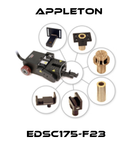 EDSC175-F23 Appleton