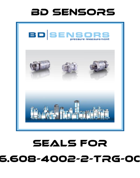 seals for 46.608-4002-2-TRG-000 Bd Sensors
