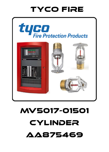 MV5017-01501 cylinder AA875469 Tyco Fire
