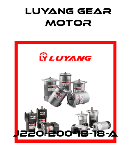 J220-200-18-18-A Luyang Gear Motor