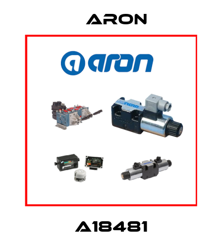 A18481 Aron