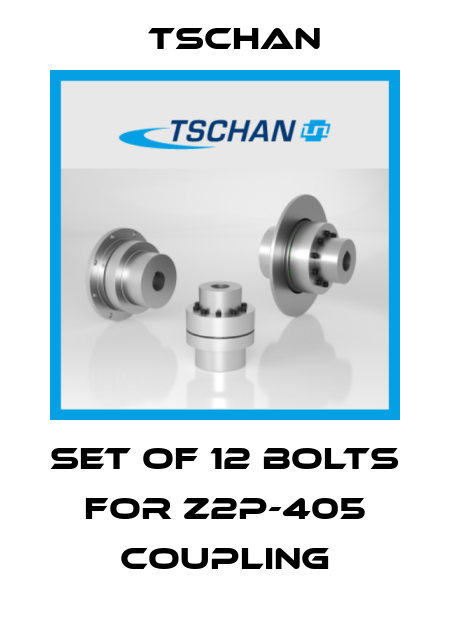 Set of 12 bolts for Z2P-405 coupling Tschan