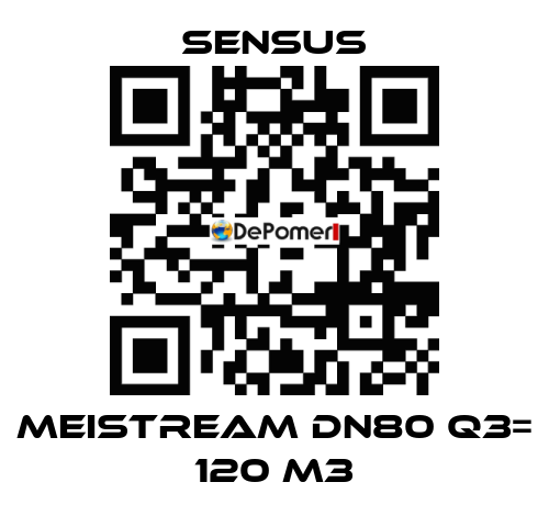 Meistream DN80 Q3= 120 m3 Sensus