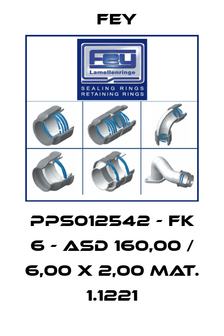PPS012542 - FK 6 - ASD 160,00 / 6,00 x 2,00 Mat. 1.1221 Fey