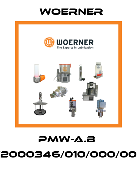 PMW-A.B  /2000346/010/000/001 Woerner