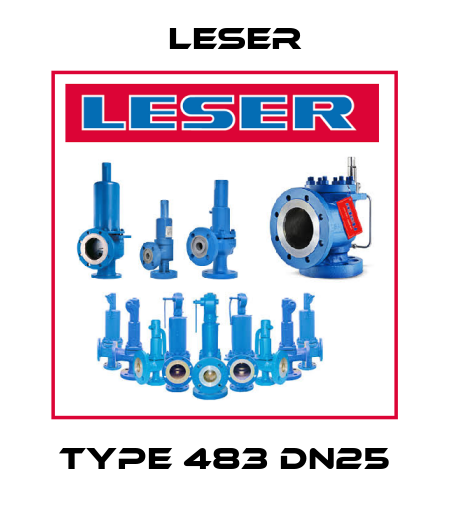 Type 483 DN25 Leser