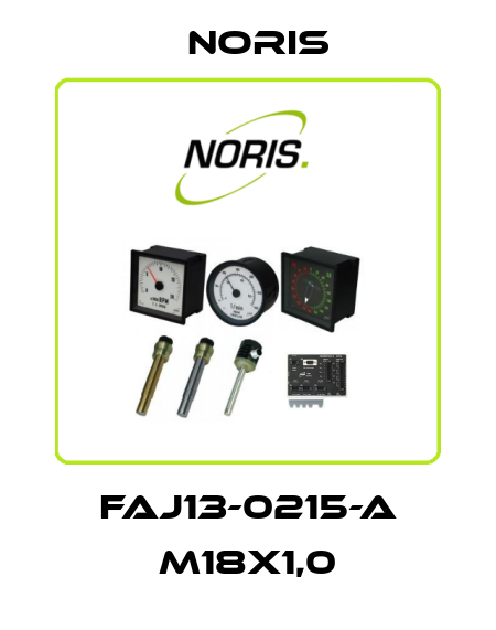 FAJ13-0215-A M18x1,0 Noris