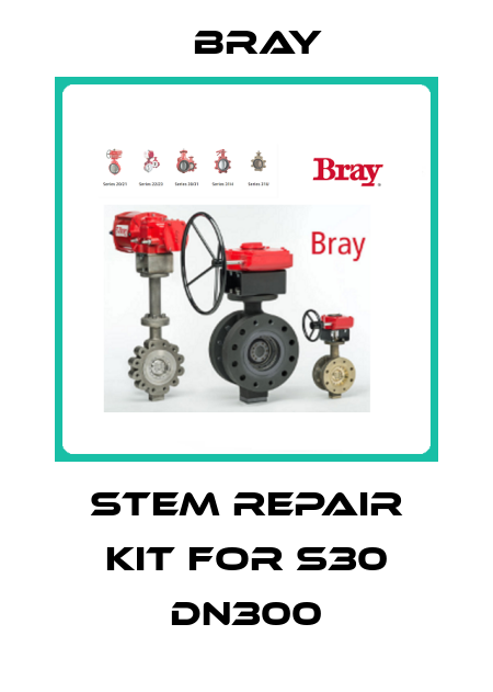 Stem repair kit for S30 DN300 Bray