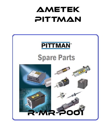 R-MR-P001 Ametek Pittman