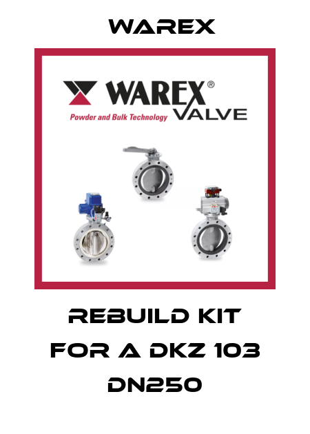Rebuild Kit for a DKZ 103 DN250 Warex