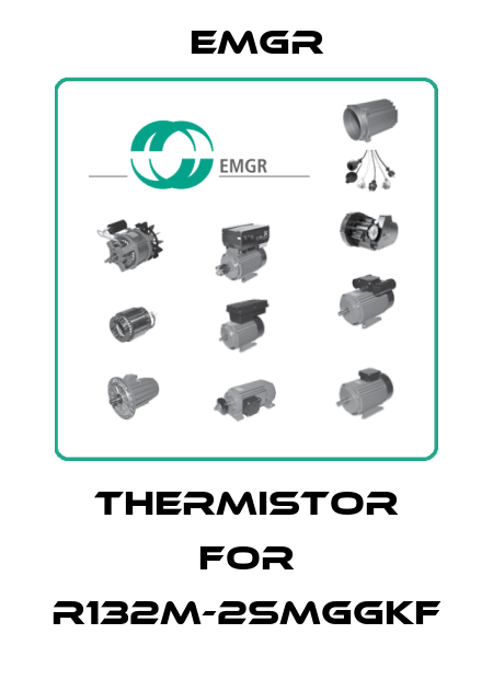 Thermistor for R132M-2smggkf EMGR