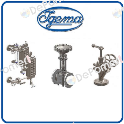 15-13078 Igema
