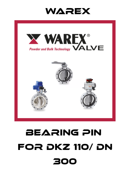 Bearing pin  for DKZ 110/ DN 300 Warex