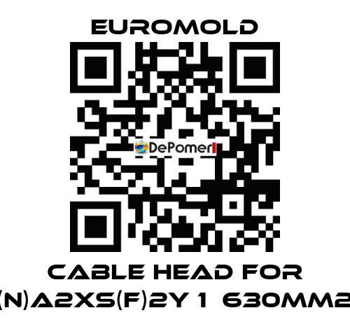 Cable head for (N)A2XS(F)2Y 1х630mm2 EUROMOLD