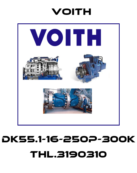 DK55.1-16-250P-300K  THL.3190310 Voith